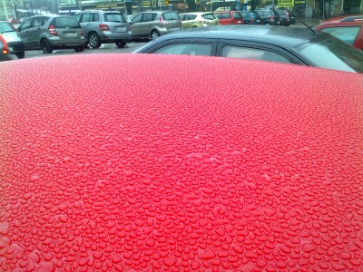 03042011063.jpg