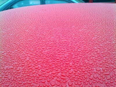 03042011064.jpg