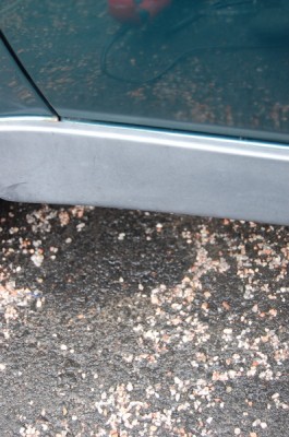 helma.jpg (115.31 KiB) Katsottu 4785 kertaa helma.jpg