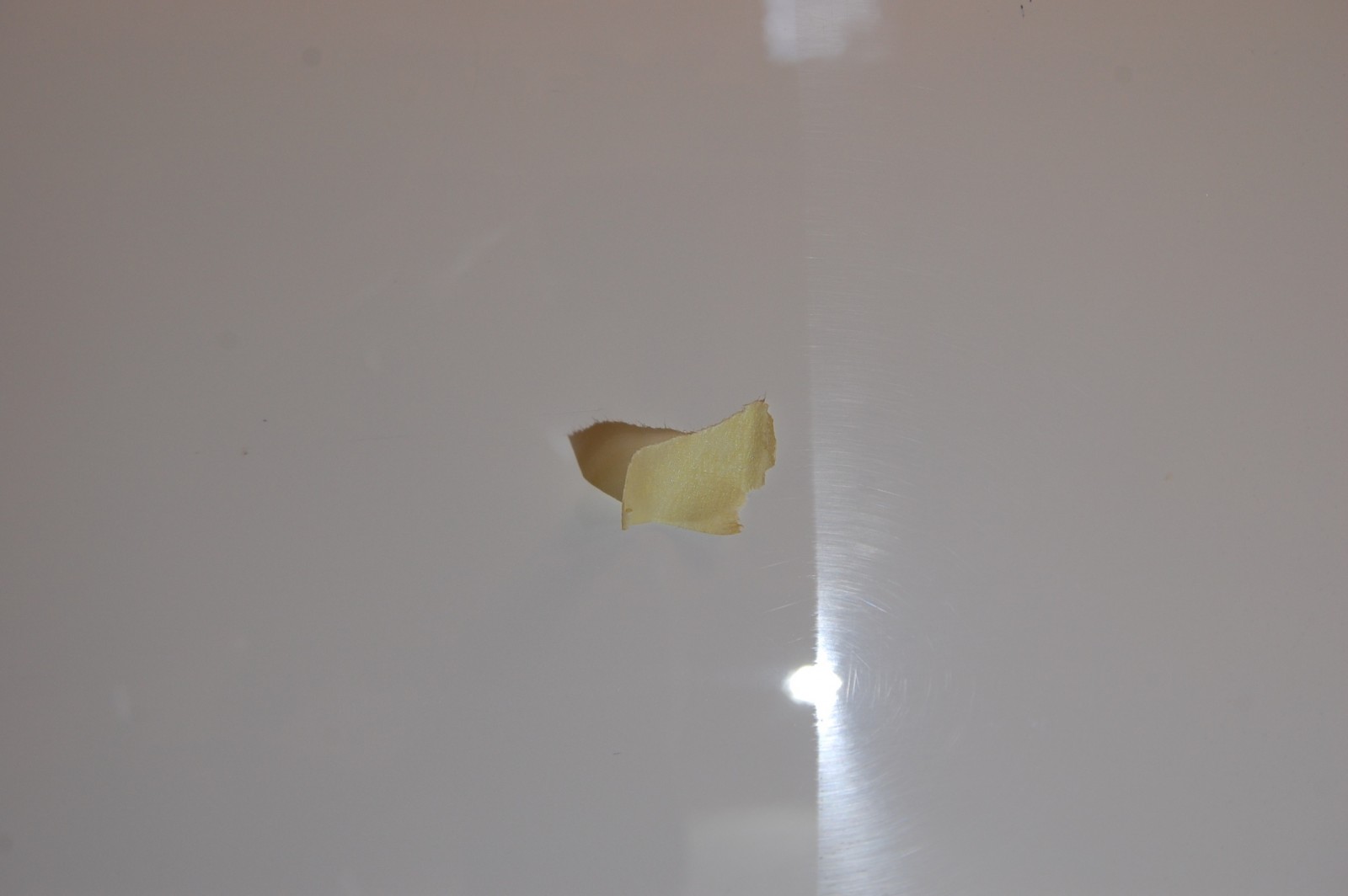 DSC_0500.JPG
