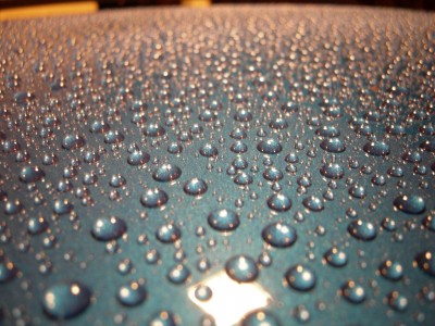 DSCN3538.JPG